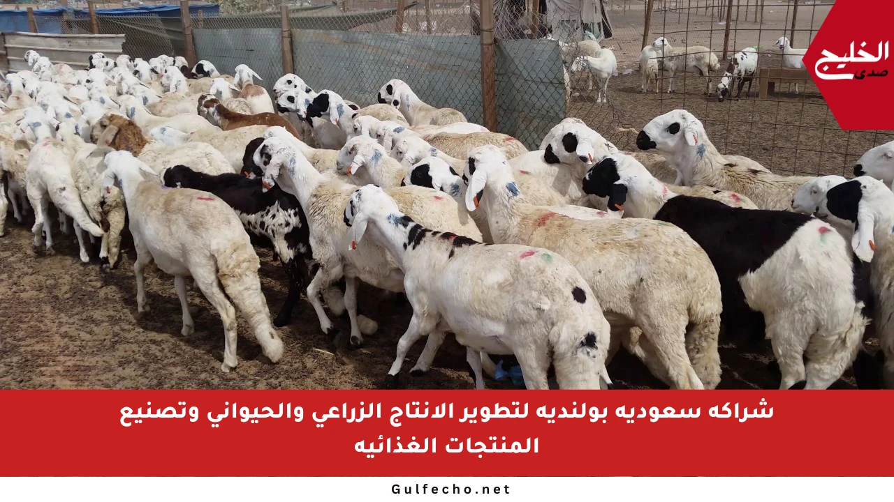 شراكة سعودية بولندية لتطوير الإنتاج الزراعي والحيواني وتصنيع المنتجات الغذائية